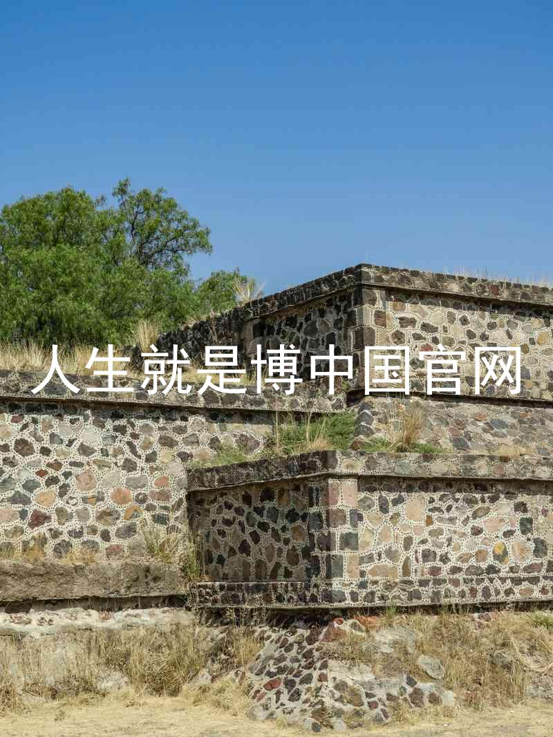 人生就是博中国官网